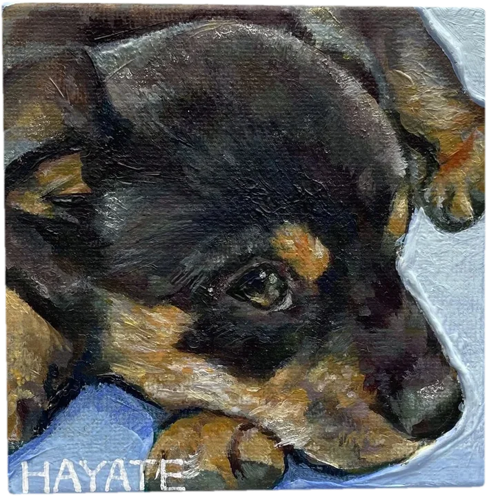ハヤテ 子犬(Hayate)/油彩・キャンバス