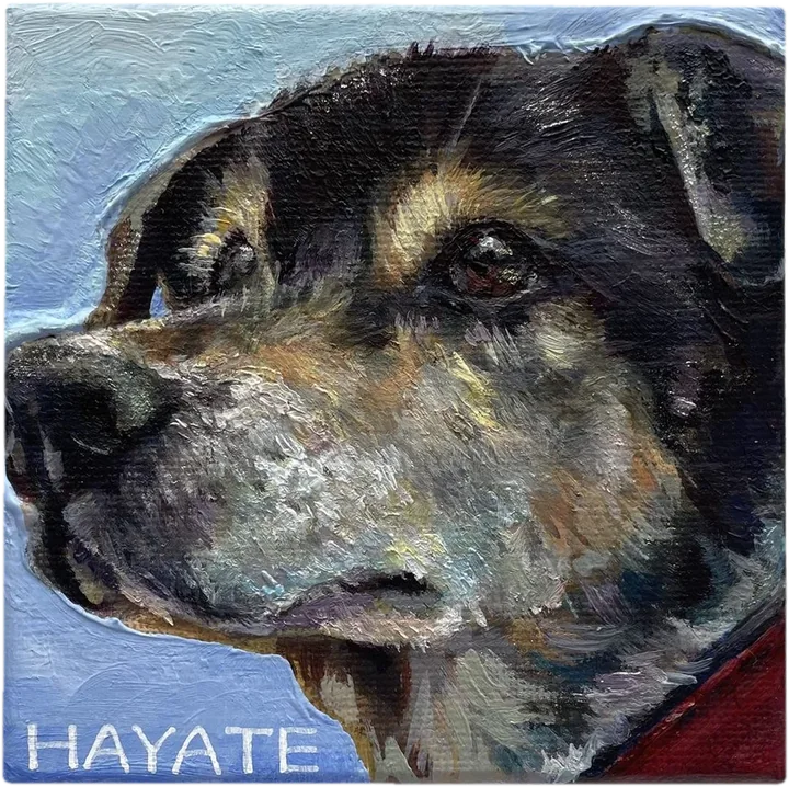ハヤテ 成犬(Hayate)/油彩・キャンバス